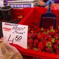 KOLUMN | Janek Mäggi: Nolani maasikas, mida eestlane vihkab!