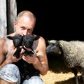 FOTOD | Balletitantsija Ivar Eensoo süda kuulub maatõugu lammastele ja kiviaedadele