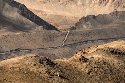 Tee, mis ühendab Ladakhi ja Kašmiiri. 