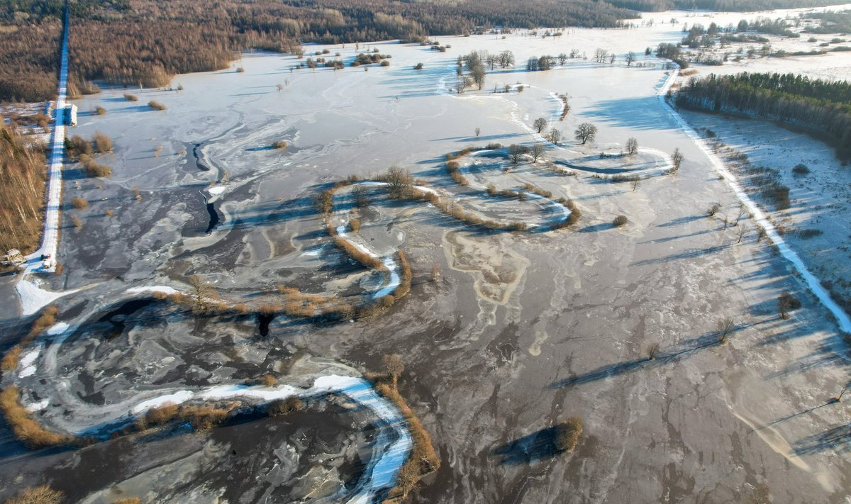 Soomaa üleujutataud ala on muutunud jääväljaks