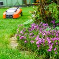 TASUB TEADA | Robotmuruniiduk hävitab aiast nii putukad kui siilid