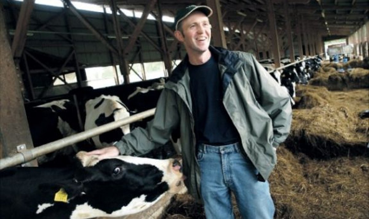 “Praeguse piimarahaga, mis me Eestimaa Piimatootjate Ühistust saame, ei ole olukord kõige hullem,” ütleb Lepiku talu peremees Kaupo Kauri.