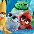 Angry Birdsi loonud Soome mängutootja müüakse jaapanlastele maha