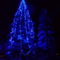 FOTO: Meremäe vald särab jõulutuledes