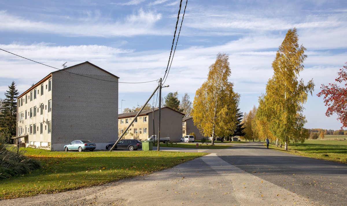 Omavalitsustele tuleks anda osa ettevõtte tulumaksust jaotatuna töökohtade järgi, sest kui raha sõltub töökohtade arvust, hakkab omavalitsus selle nimel rohkem pingutama.
