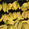 VARIVALITSUS | Igor Taro „katuseraha“ jagamisest: see on banaanivabariigi stiilis valitsemise mudel, kus riigikassat jagatakse oma hõimuga
