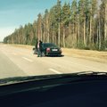 Politsei sai kätte seltskonna, kes müüs Eesti maanteedel autost kassikulda