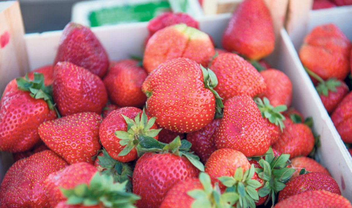 Tallinna Keskturul pakutakse nii Eesti kui välismaa maasikaid.