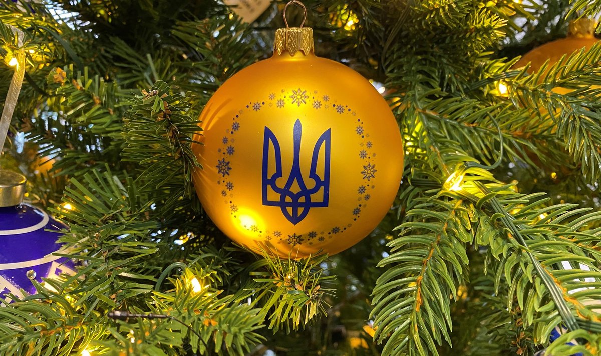 Рождественская ель в Киева