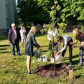 Выпускники Таллиннской Домской школы посадили в Тоомпарке яблоню. Со временем там появится яблоневый сад