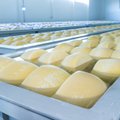 Eesti vadakupulbrit ja juustu veetakse sadade tonnide kaupa Hiina ja Jaapanisse