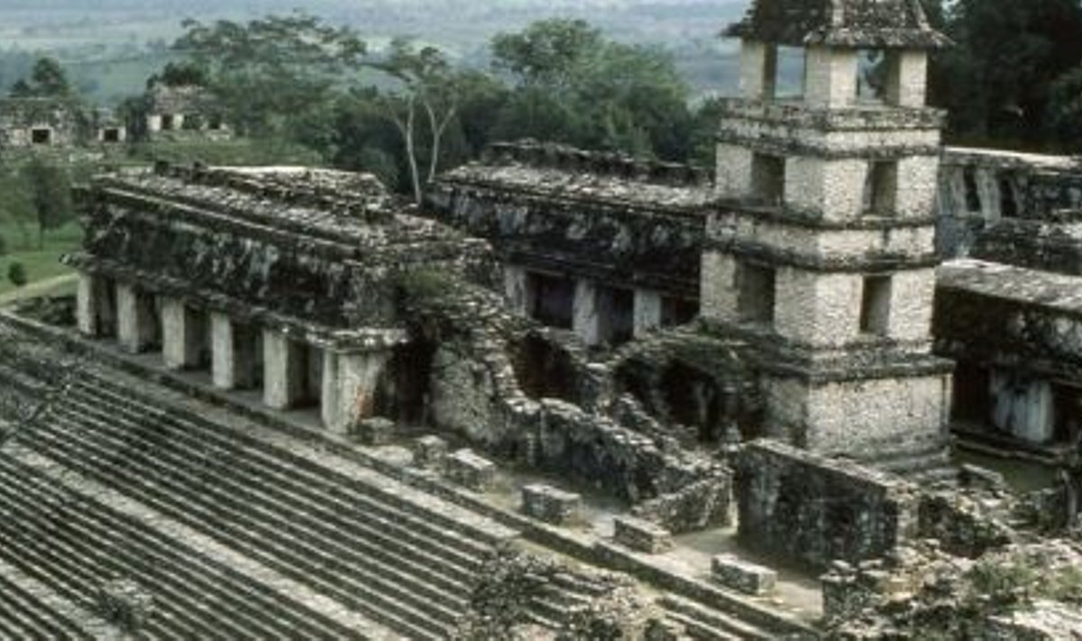 Maiade linnriigi Palenque varemed Mehhiko lõunaosas