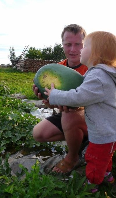 2010. aastal õnnestus Janno Kupperil kasvatada oma põllul ligi kaheksa kilo kaaluv arbuus. Foto: Janno Kupper