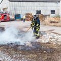 FOTOD: Saaremaal süttis lõkkeplatsist kulu, ohtu sattus ka puidutehas