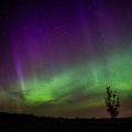 FOTOD | Põhjamaine taevas pakub sõnulseletamatut ilu: üle Eesti märgati virmalisi