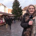 VIDEO | Reportaaž Raekoja platsi jõuluturult! Vaata, mida muinasjutuline turg tänavu külastajatele pakub