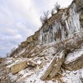 ФОТО: Мороз украсил полуостров Пакри ледяными гроздьями