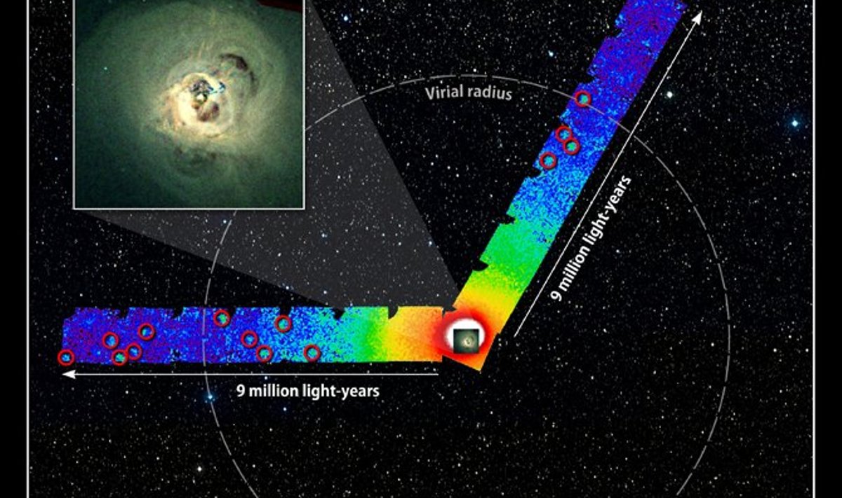 Suzaku satelliit kaardistas röntgenkiirgust Perseuse galaktikaparve eri suundades. Sinine tähistab nõrgemat kiirgust ja punktiirjoon galaktikaparve piire. Foto: NASA/ISAS/DSS/A. Simionescu  et al.