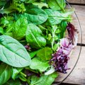 Üllatavalt toitev salat: 7 tervist toetavat rohelist salatit