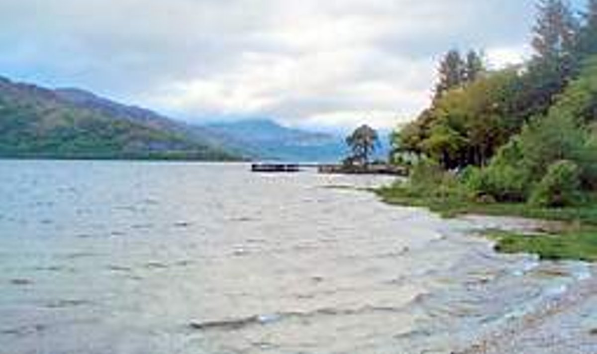 71 RUUTKILO­MEETRIT: Briti saarte suurima järve Loch Lomondi kallas. Meelis Niine