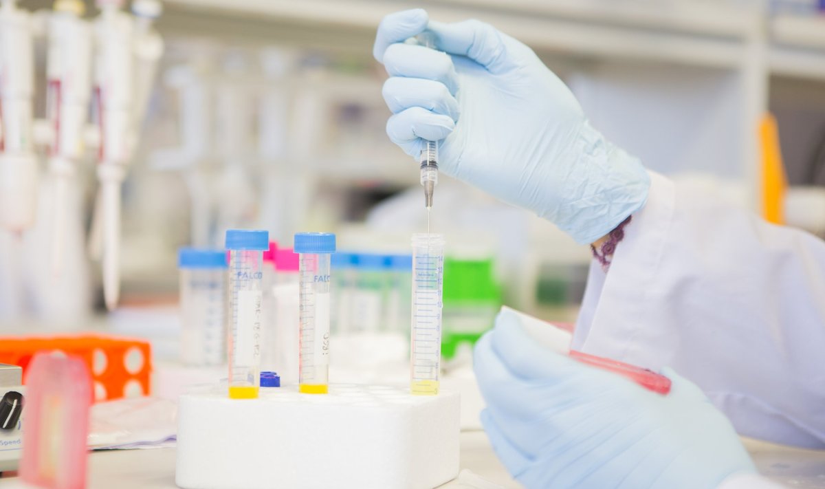 Labori-, infektsioonhaiguste ja perearstid seisavad oma ühisavalduses Pruunsilla-Reinsalu testiaktsioonile otsesõnu vastu.