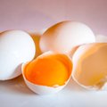 Loe rahvusvahelisel munapäeval, mida üks muna endast kujutab