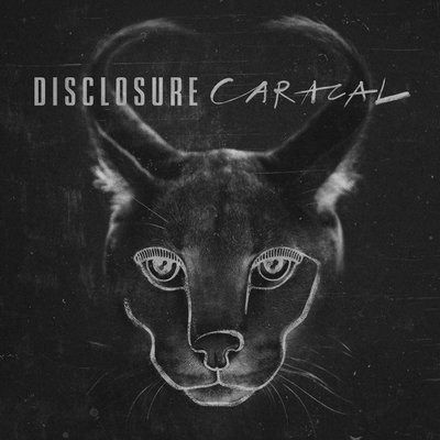 Disclosure “Caracal”