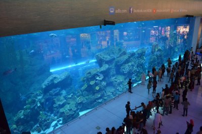 Kogupindalalt maailma kõige suurem kaubanduskeskus Dubai Mall, mis sisaldab lisaks lugematule arvule poodidele ka akvaariumit ja veealust loomaaeda, kus on üle 300 erineva mereloomaliigi, sealhulgas ka haid ja raid. 