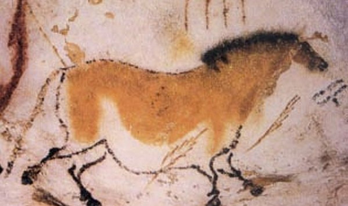 Maalitud hobune Lascaux' koopas