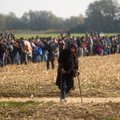 ЕС создаст еще 100 тысяч мест в центрах по приему беженцев