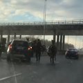 VIDEO | Tallinna-Narva maanteel jooksis kari lahtipääsenud hobuseid