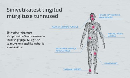 Sinivetikate mõju inimese tervisele