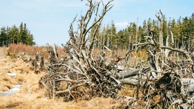 Kas ilmataat ikka on kristlane?