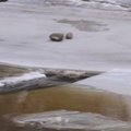 Pärnumaal tõuseb jõevesi kiire tempoga