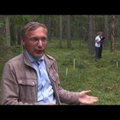 ВИДЕО: ”Дикая наука”: умное биоразнообразие в лесах Эстонии