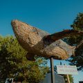 ФОТО | На Сааремаа открыли скульптуру из 30 000 сигаретных окурков