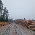 Уничтоженные леса: эстонские экологи просят министра климата начать независимое расследование