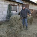 Ukrainlased trügivad Eesti taludesse sulasteks
