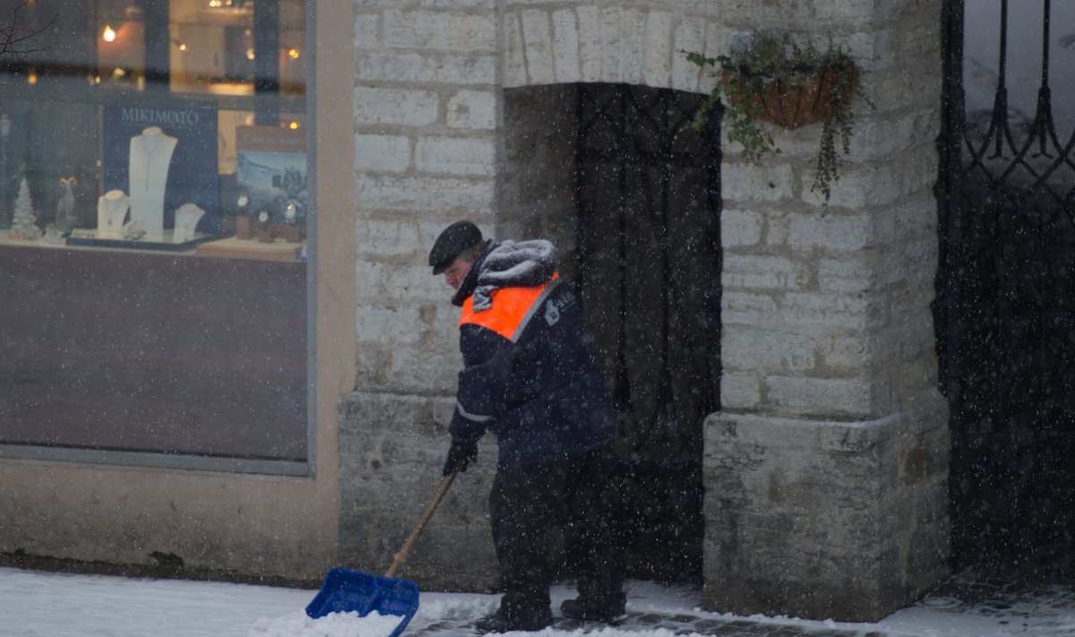 Esimene lumi Tallinnas 21.11.2014