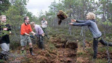 Mari Kartau: soofiilide sõjaplaan hävitab metsa