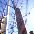 Eesti tsirkusekogukond tähistas ülemaailmset tsirkusepäeva rongkäiguga
