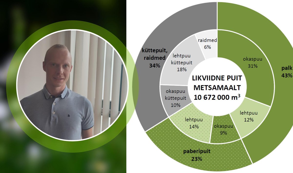 Puidukasutuse ülevaatest ehk puidubilansist andis ülevaate keskkonnaagentuuri metsaosakonna metsandusstatistika peaspetsialist Feliks Sirkas.