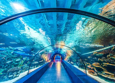 Antalya akvaarium