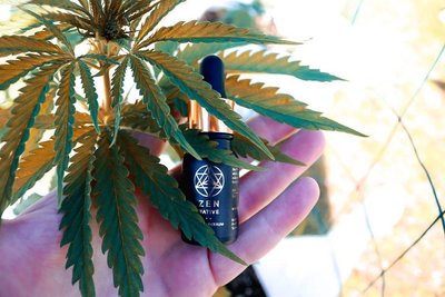 Zen Native Full Spectrumi CBD-õli Hiiumaa kasvatuses