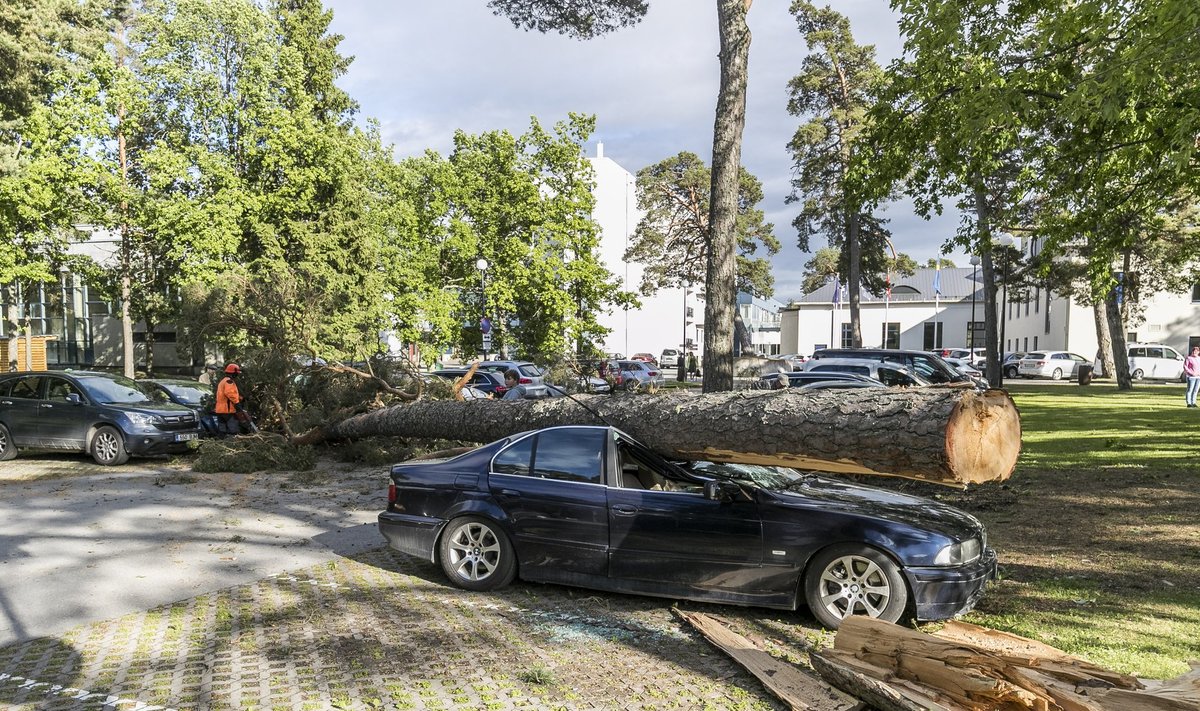 Tugeva tuulega kukkus Laulasmaal puu autodele peale.