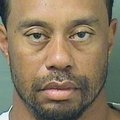 Loe, milliste ainete ja ravimite jälgi leiti Tiger Woodsi kehast arreteerimise hetkel