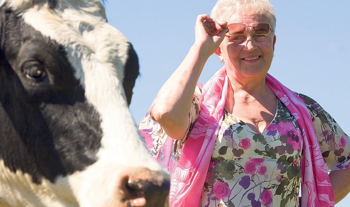 “Mulle on põld olnud  alati südamelähedasem, aga lõpuks jõudsin  ikkagi loomade  juurde,” teatab  agronoomiharidusega OÜ Suurekivi juhataja Helju Veskaru oma  karja keskel.