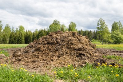 Anduritega saab mõõta, kui palju on mulla toitainete sisaldus suurenenud näiteks pärast sõnnikuvedu.
