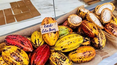 Как взрывной рост цен на какао отразится на стоимости шоколада?