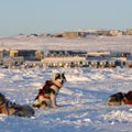 Kanada sõjavägi uurib arktilise väina põhjast tulevat müstilist heli, mis on loomad minema peletanud